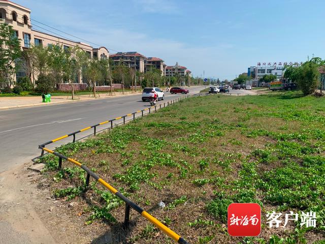 新合埠路最新動態(tài)，邁向未來的城市主干道重塑與升級