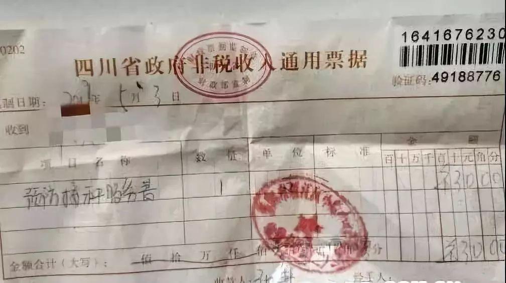 資陽(yáng)小院最新規(guī)劃圖，塑造未來(lái)宜居典范