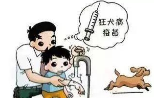 最新狂犬病發(fā)作視頻，理解與應對的挑戰(zhàn)