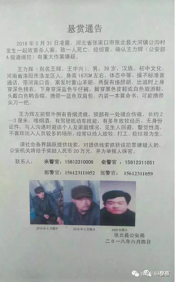 網(wǎng)上最新通緝犯名單，社會安全的警鐘長鳴