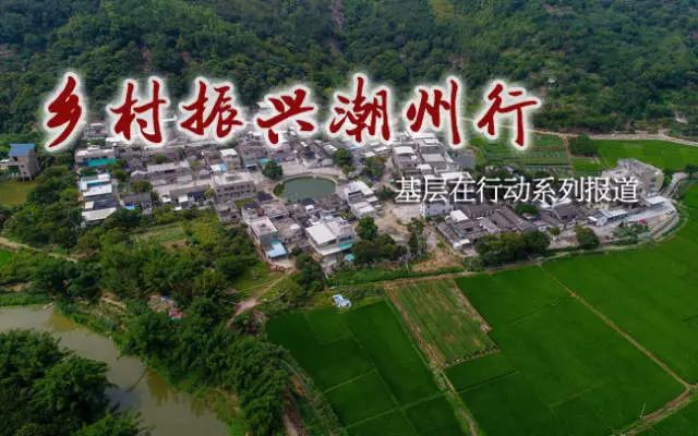 牧馬鎮(zhèn)蓮花村最新規(guī)劃，鄉(xiāng)村振興的藍(lán)圖展望