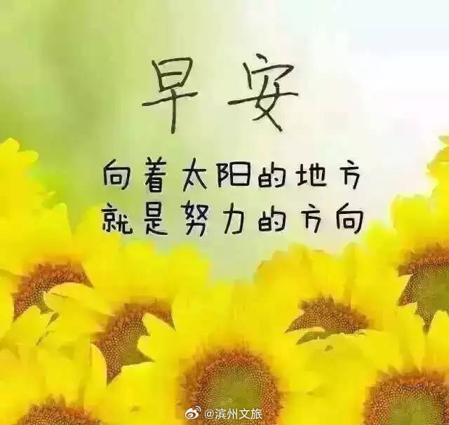 說(shuō)說(shuō)早安，迎接全新的一天，擁抱美好的人生