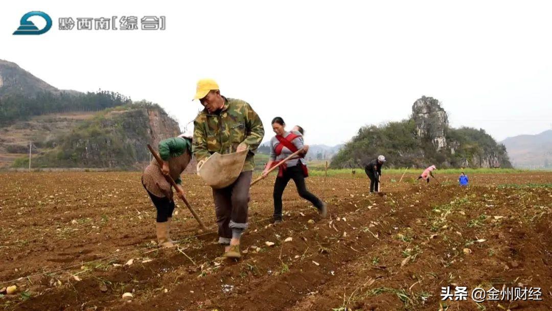 最新興仁下山鎮(zhèn)視頻，揭示一個(gè)美麗而充滿活力的鄉(xiāng)村面貌