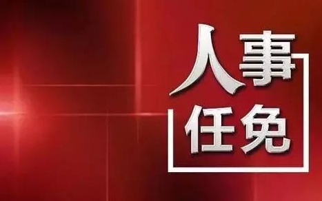 中央最新人事任免，蔡某某的新職務(wù)與未來展望