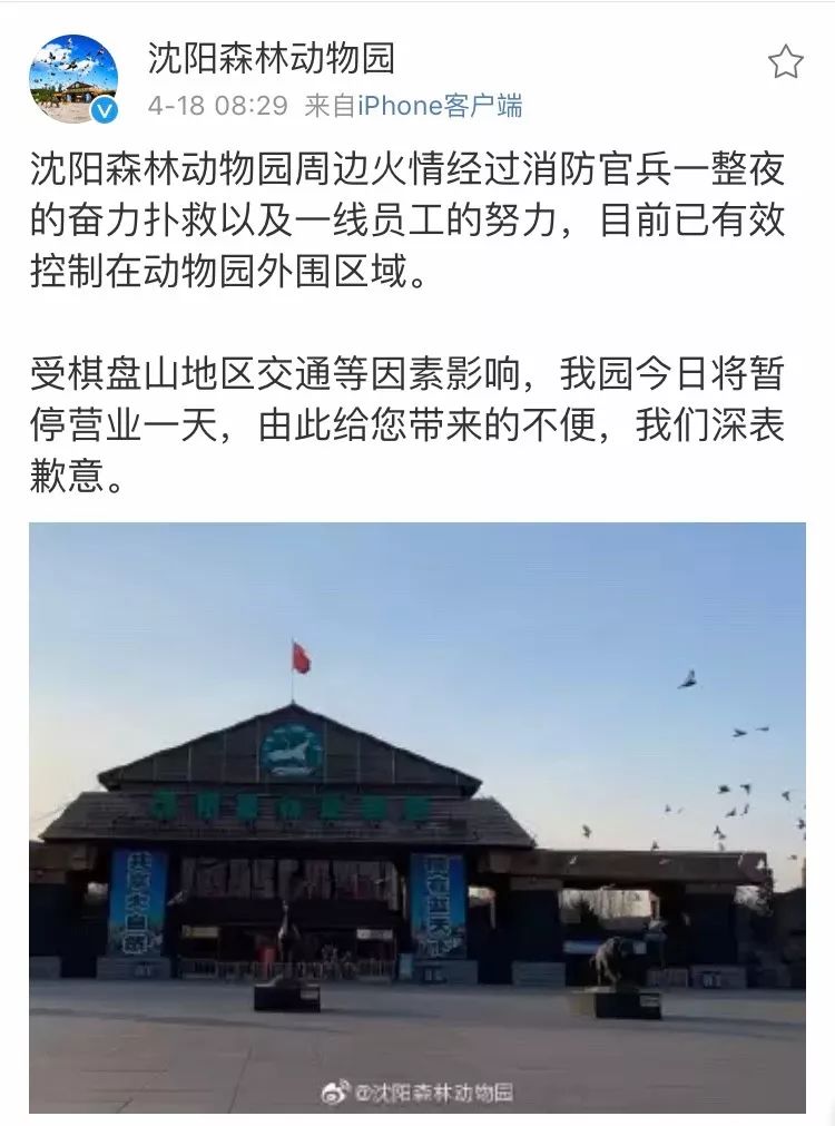今天沈陽火災(zāi)最新消息