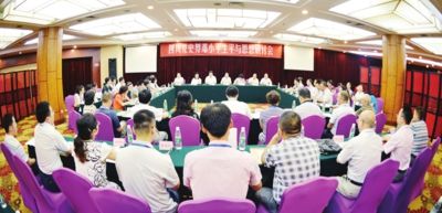 澳門(mén)王中王100的資料論壇，深入解析與落實(shí)的探討