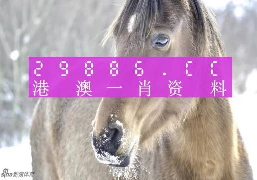 澳門一肖一碼100準(zhǔn)免費，揭示背后的真相與風(fēng)險