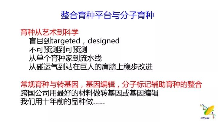 澳門正版免費服務(wù)與顧問釋義解釋落實，未來的趨勢與挑戰(zhàn)