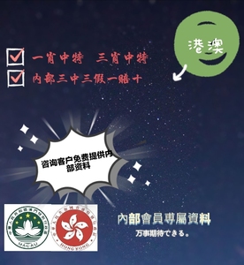 澳門一肖一碼，揭秘所謂的精準王中王背后的真相與需求釋義解釋落實的重要性
