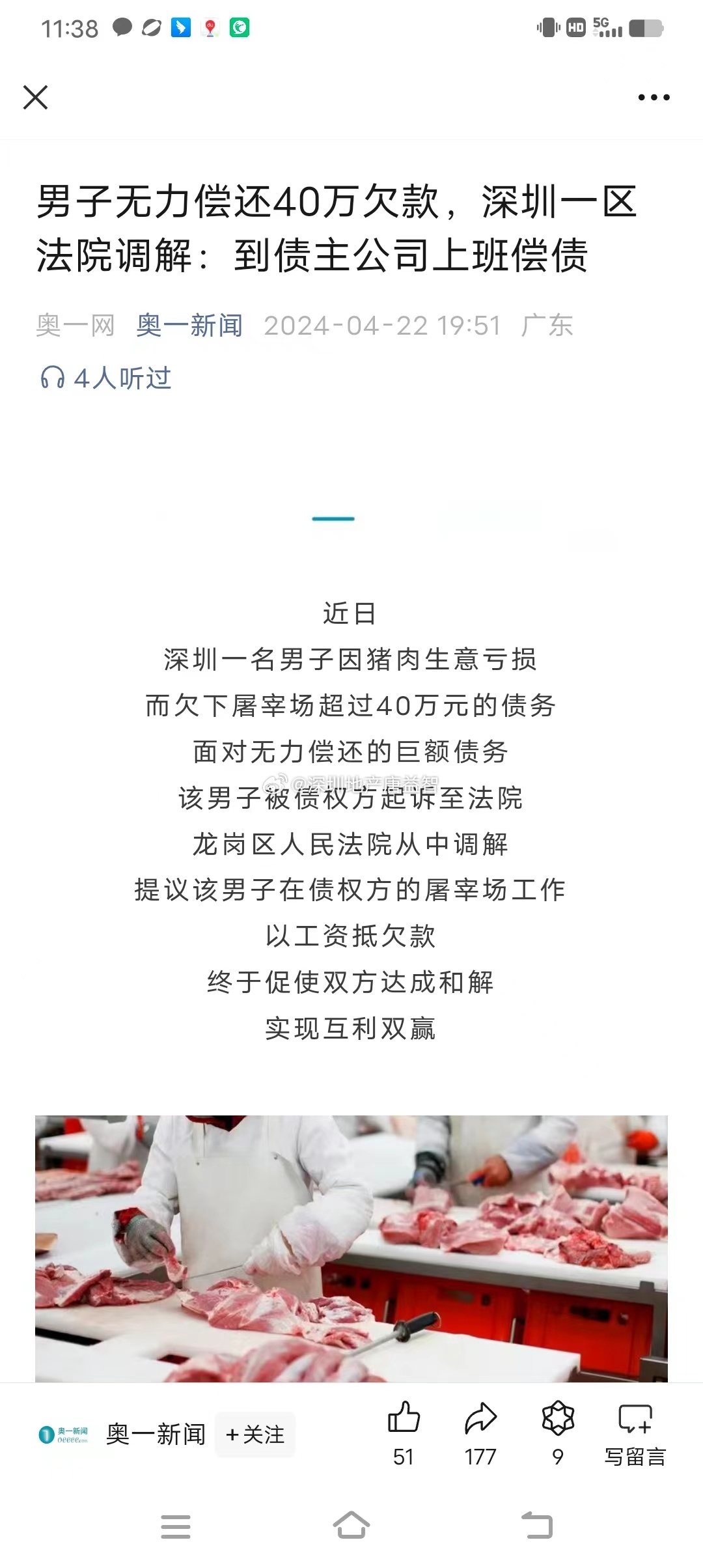 一肖一碼一一肖一子在深圳，瞬時釋義、解釋與落實