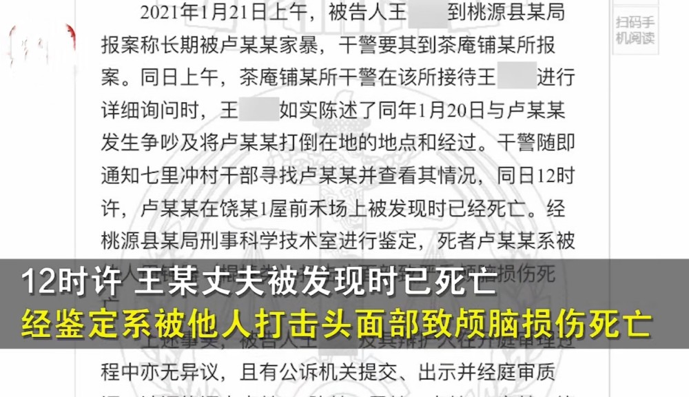 澳門正版精準免費大全，揭示犯罪與合法之間的界限