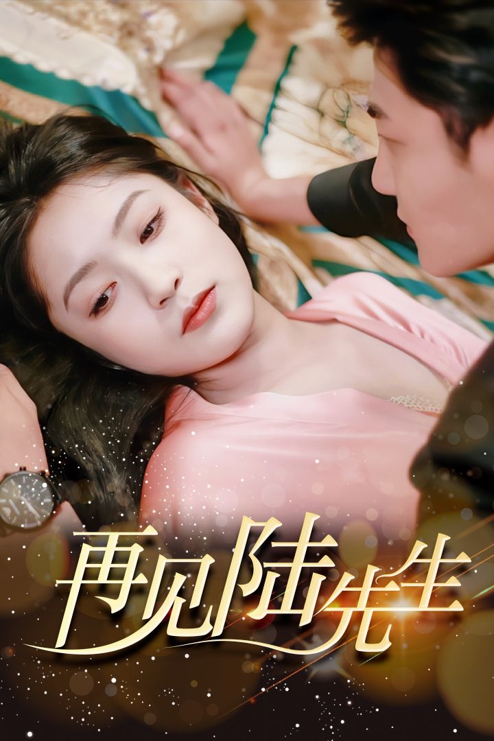 再見許先生最新章節(jié)，重逢的序曲