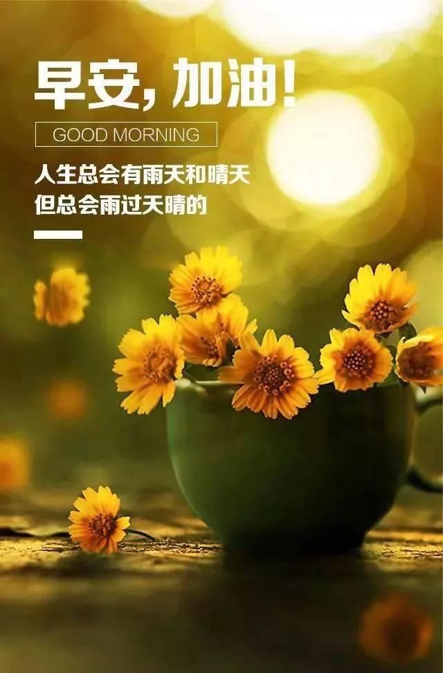 最新早安勵(lì)志語(yǔ)錄帶圖，開啟充滿活力的每一天